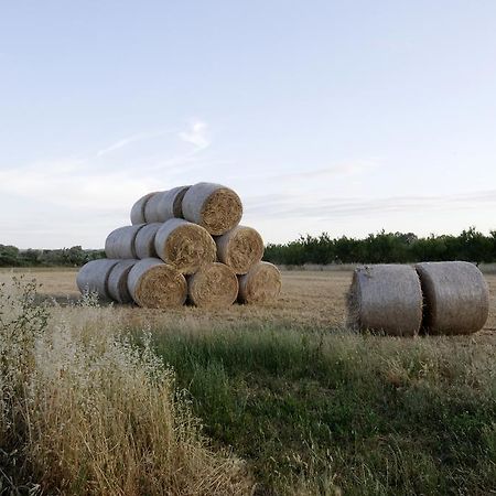 הוילה אלציו Agrimat Salento Sas מראה חיצוני תמונה