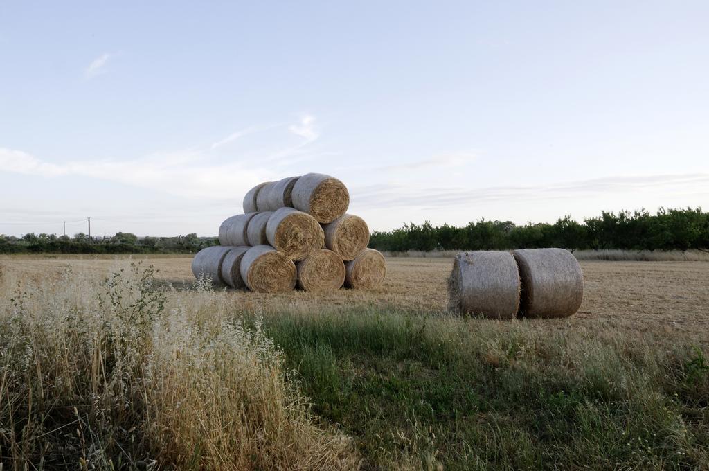 הוילה אלציו Agrimat Salento Sas מראה חיצוני תמונה