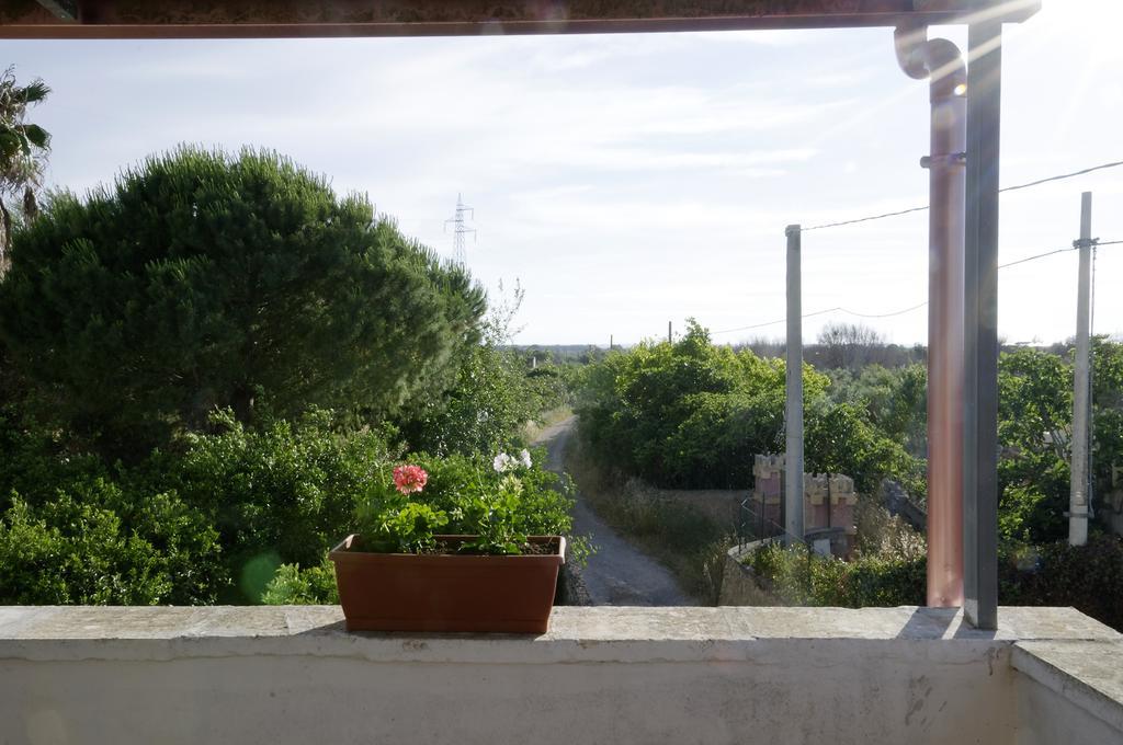 הוילה אלציו Agrimat Salento Sas מראה חיצוני תמונה