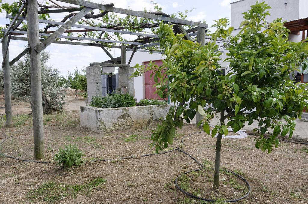 הוילה אלציו Agrimat Salento Sas מראה חיצוני תמונה