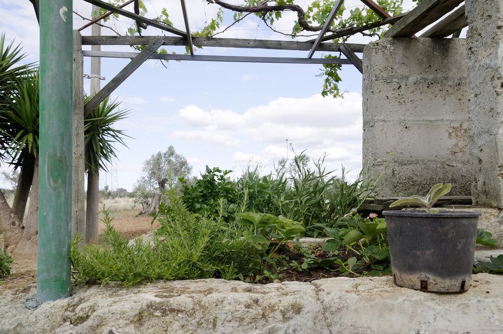 הוילה אלציו Agrimat Salento Sas מראה חיצוני תמונה